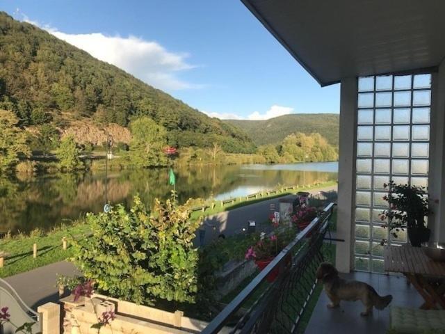 La Rose Sur Meuse Villa Haybes Dış mekan fotoğraf